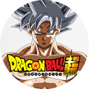 DRAGON BALL SUPER