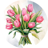 Pink Tulip