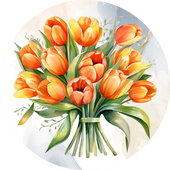 Orange Tulip